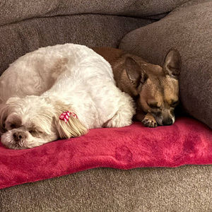 Meet your Posher, Deb